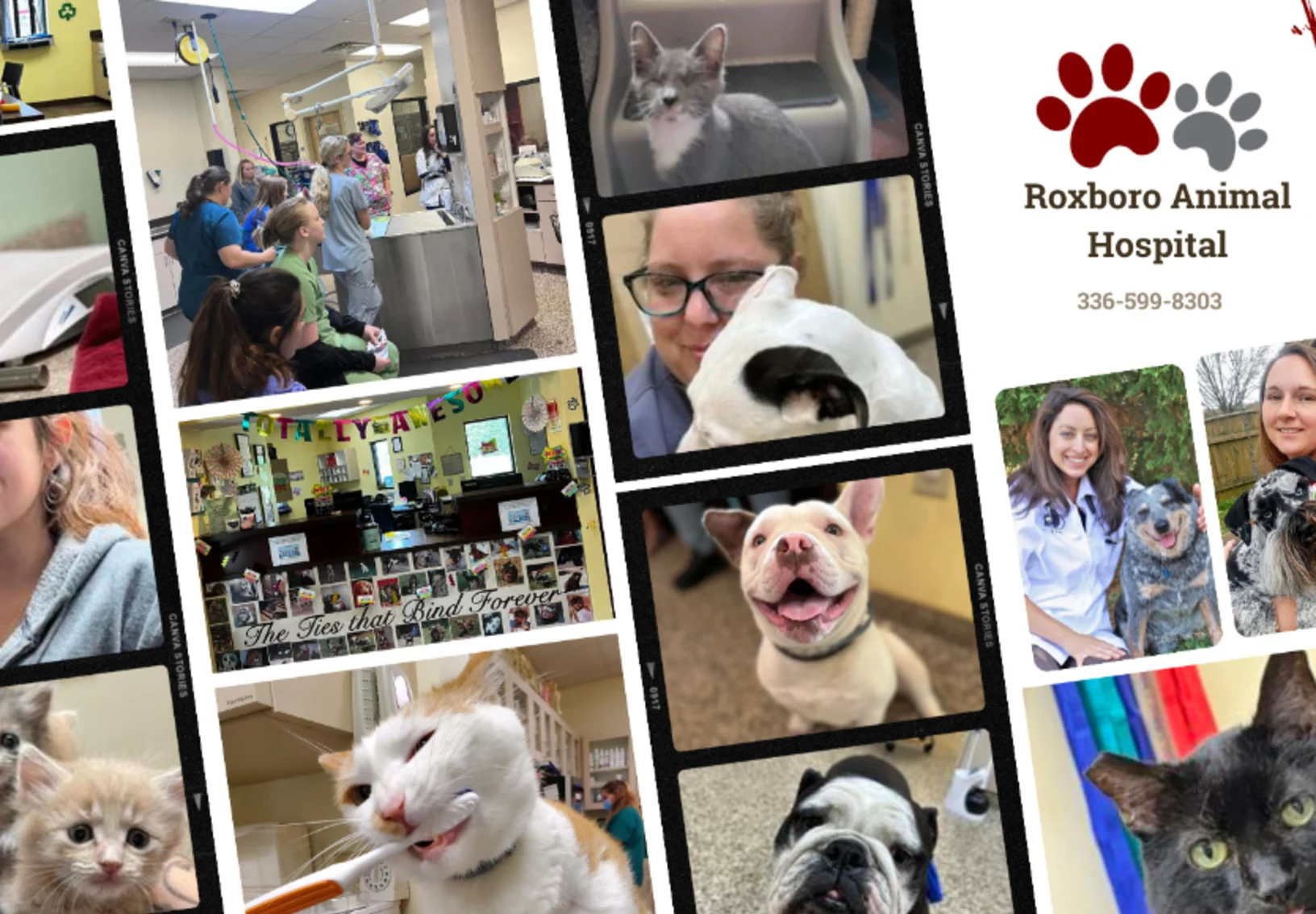 Animals and staff of Roxboro Animal Hospital